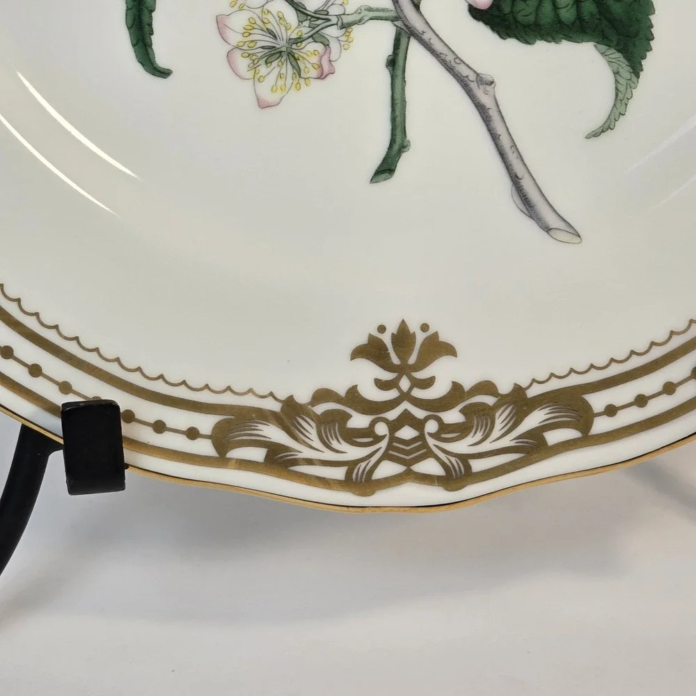 Vintage Botanical Floral Porcelain Plate Gold Filigree Scalloped‎ Rim 10.5 inch